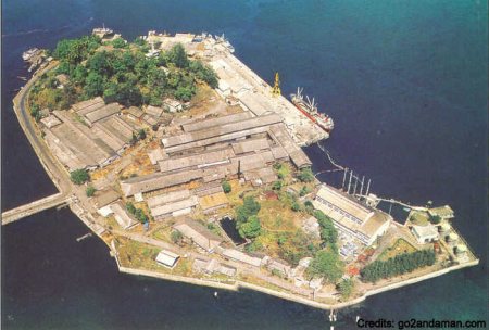 Chatam Island